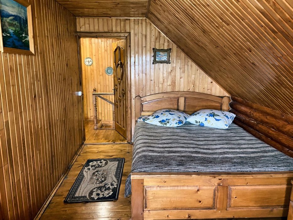 Будинок в Карпатах