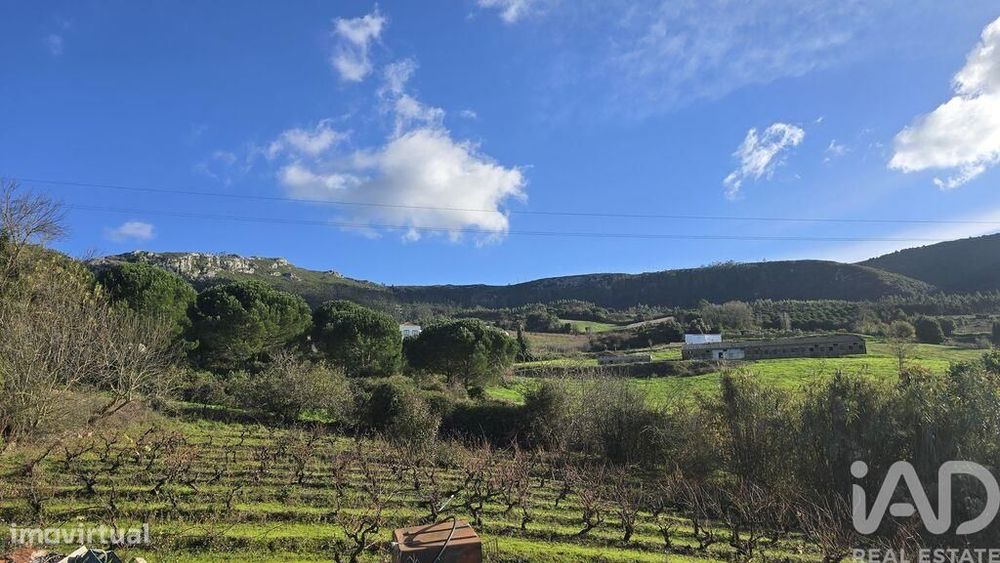 Terreno para construção em Lamas e Cercal