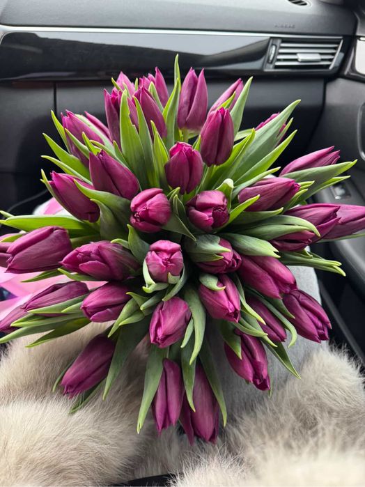 Тюльпан/ зріз тюльпану/ Квіти/ Опт 8 Березня