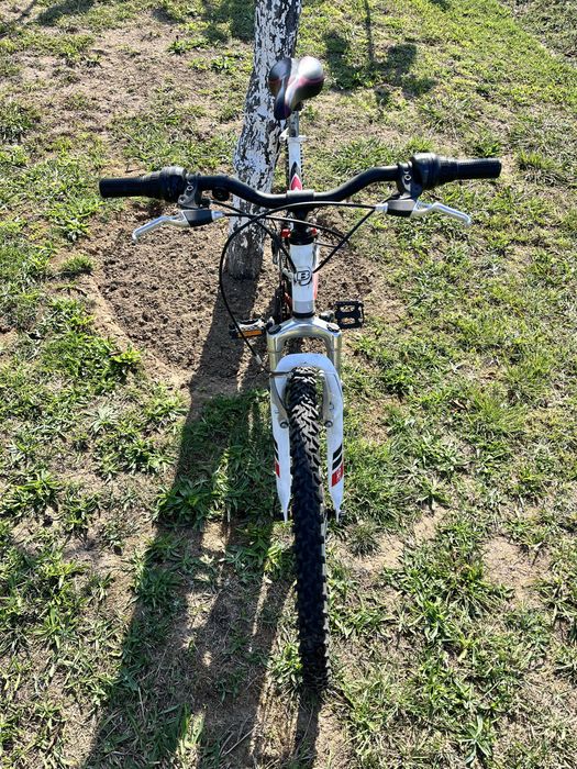 Bicicleta de montanha