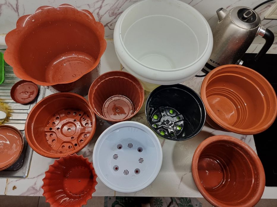 Пластиковые горшки от 15 до 20 см в диаметре