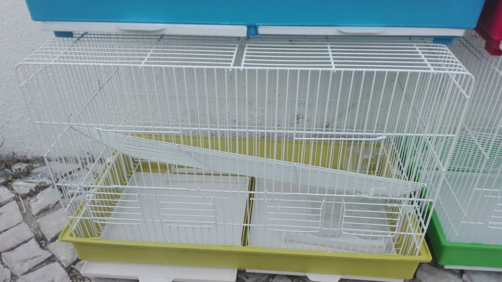 Vendo caturras machos e fêmeas