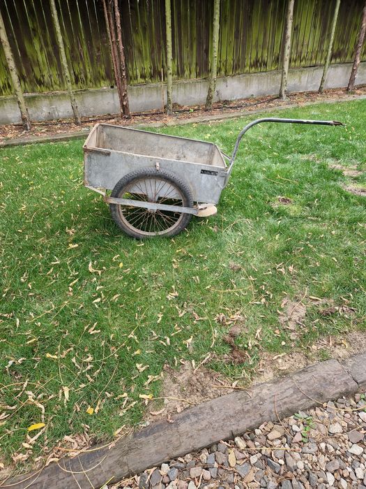 Simson