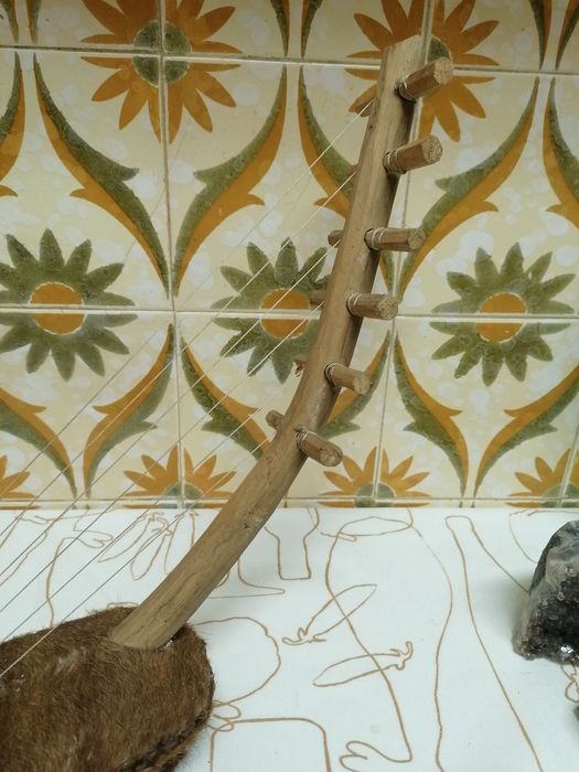 Adungo musical africano