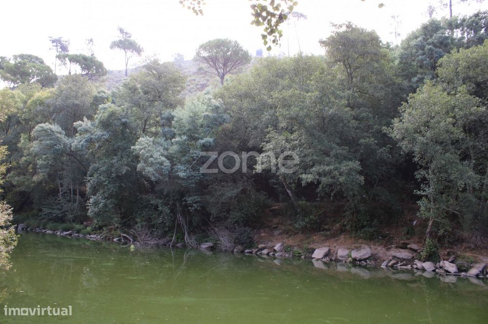 Terreno na margem do Rio Dão