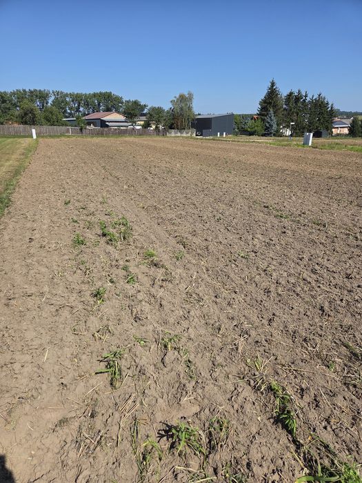 Działka budowlana uzbrojona Bruszczewo - Widok 3