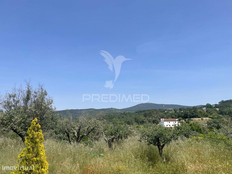 Quinta T4 no coração da Serra de S. Mamede, Portalegre