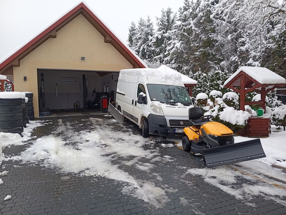 Wycinka drzew odśnieżanie posesji dachów