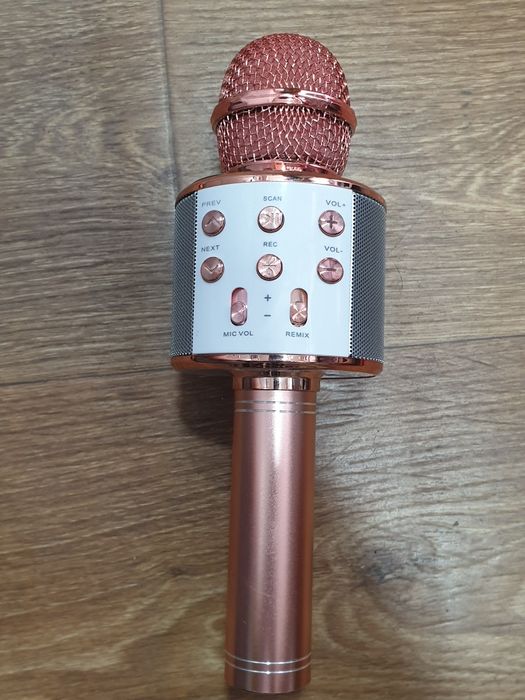 Мікрофон караоке WS-858