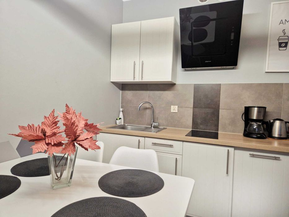 Klimatyzowany Apartament Dąbrowskiego 36