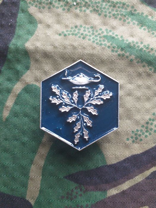 cracha militar (Curso EM Conjunto)