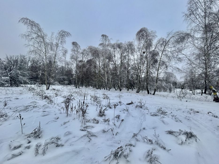 Земельна ділянка 78,7 Га !!! Фасівочка!