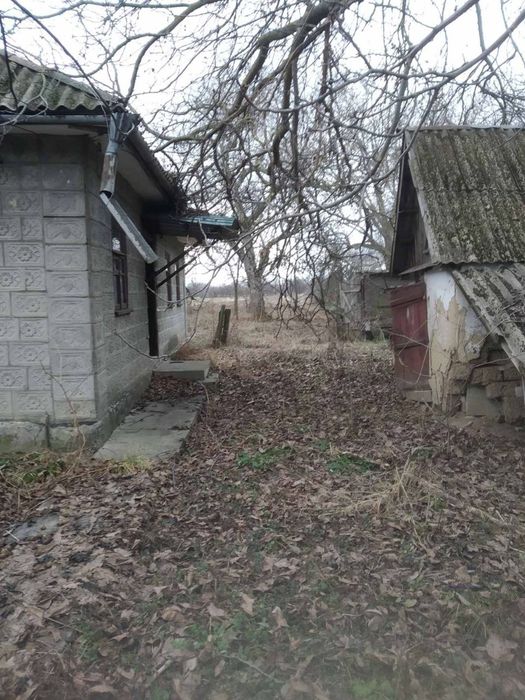 Продам будинок с. Гриненки