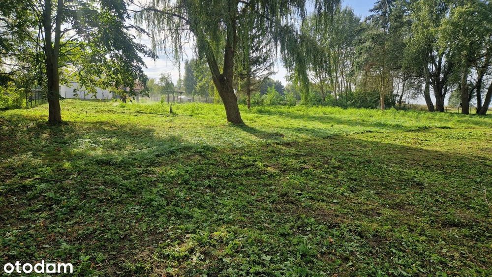 Działka Rekreacyjna 4034 m² nad Zalewem Szczecińskim