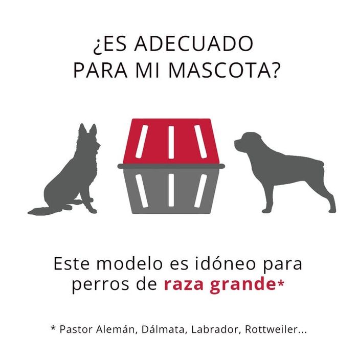 Transportadora de cães