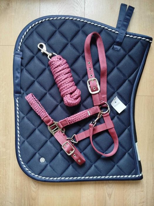 Kantar z uwiązem Chicago Horze PONY