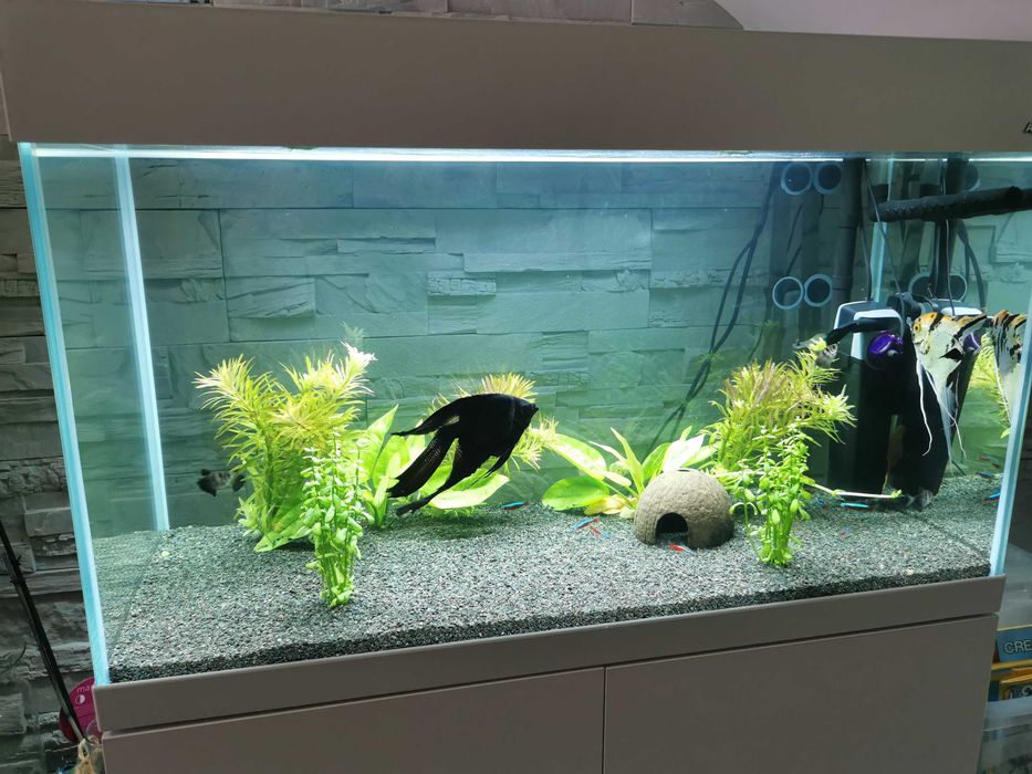 Akwarium Aquael Opti Set 125 biały + pełny osprzęt