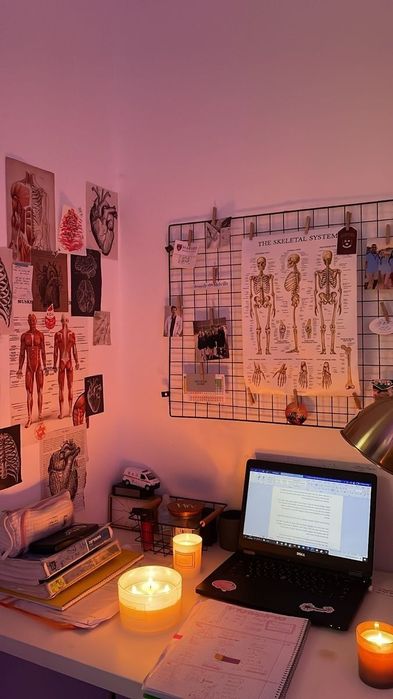 KOREPETYCJE BIOLOGIA / przygotowanie do matury
