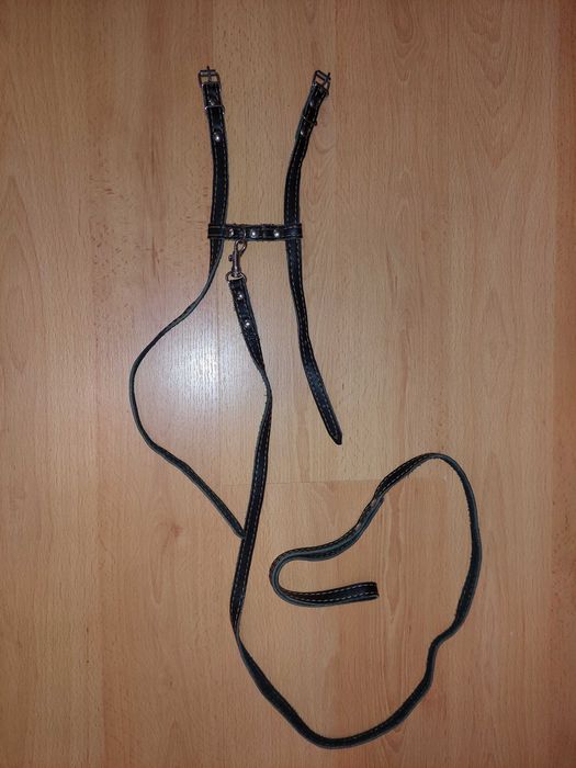 Повідок шлейка для котів шкіряний