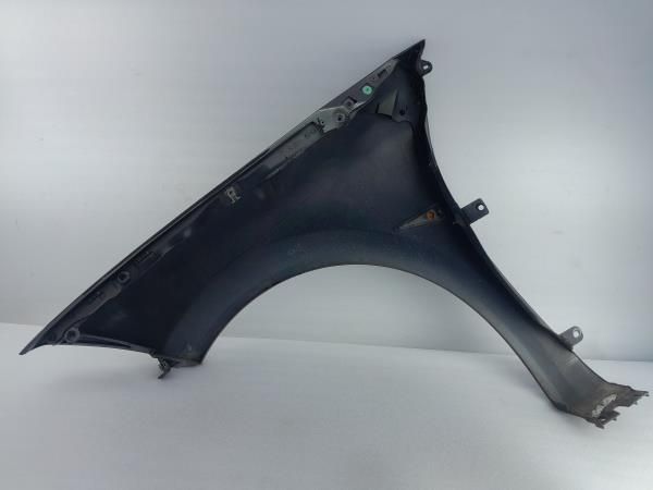 Guarda-lamas direito RENAULT Megane II (BM0/1_, CM0/1_)
