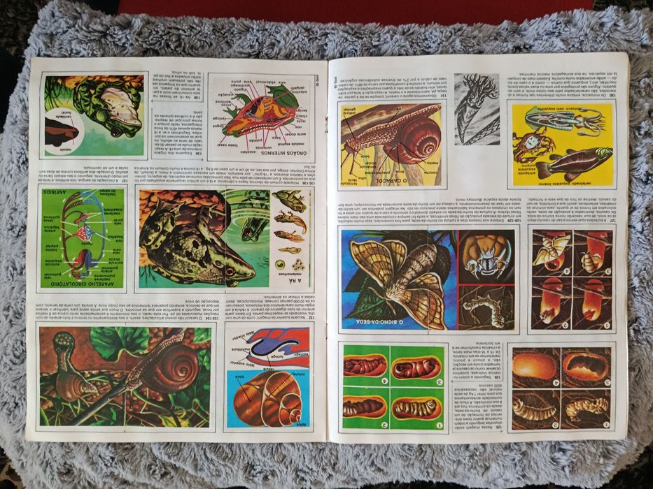 Caderneta de cromos CIÊNCIAS  (Completa)