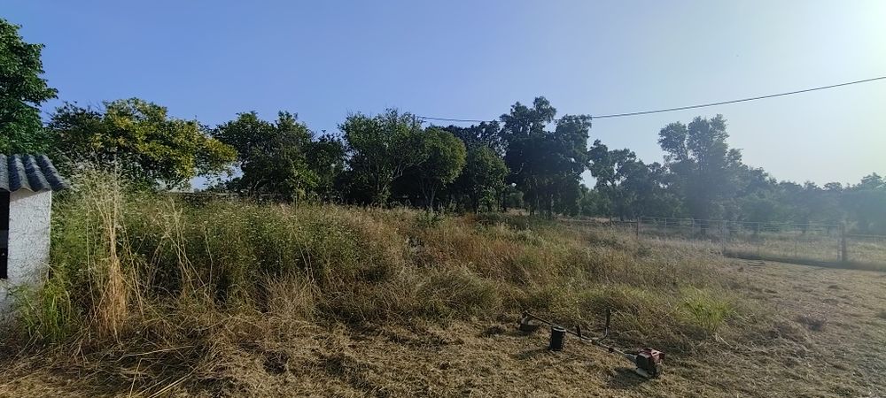 Limpeza de terrenos