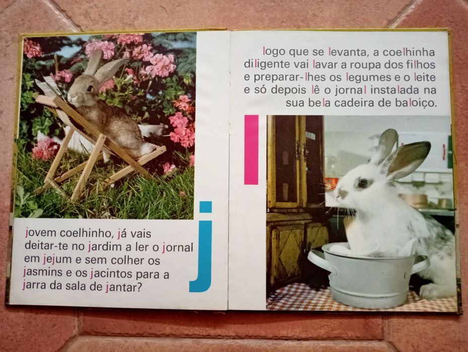 Livro - ABC dos Coelhinhos
