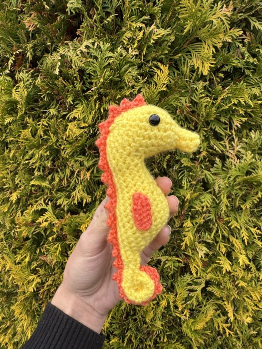 Konik morski żółto pomaranczowy