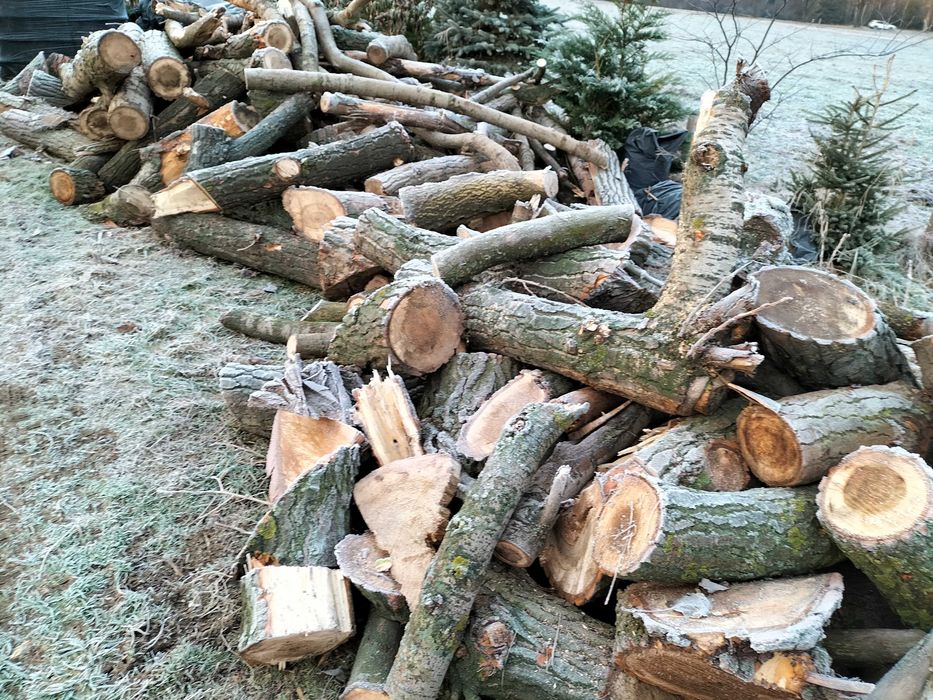 Drewno opałowe liściasty mix