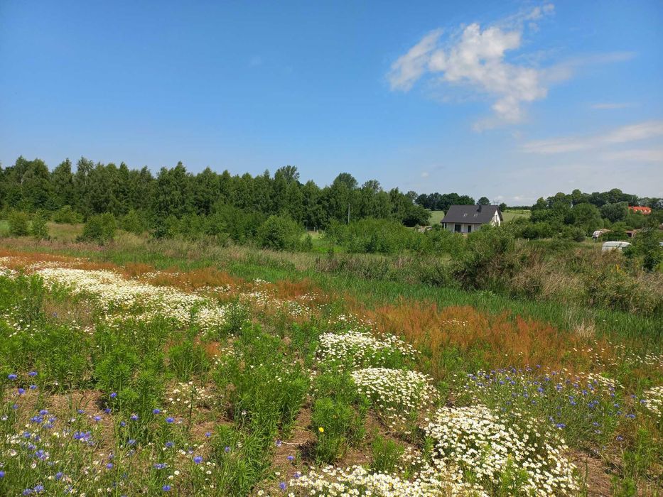 Działka mieszkaniowa - Kotłowo, Koszalin