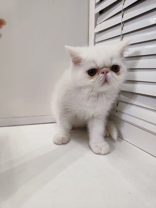 Нежнейший мальчик  Виталик