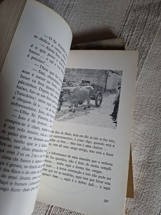Artes e Tradições de Viseu