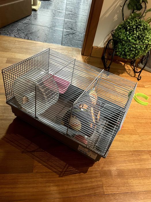 Gaiola para Hamster
