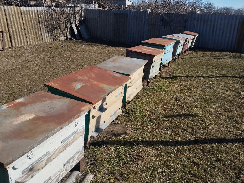 Продам вулики для пчіл