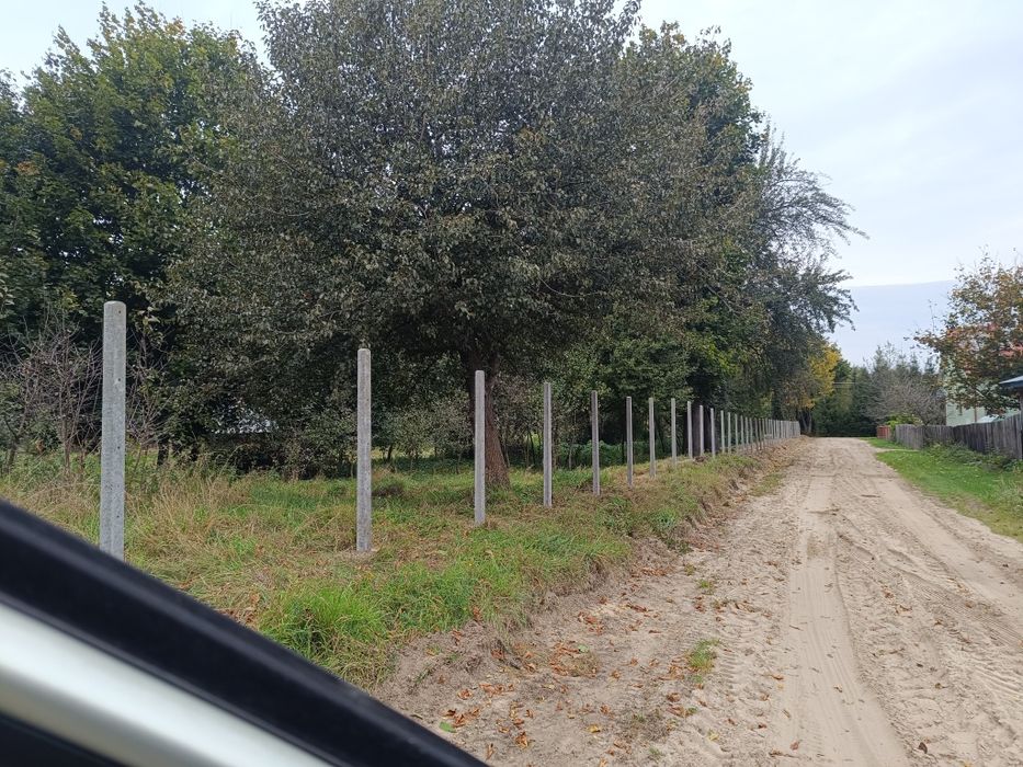 Ogrodzenie tymczasowe siatka leśna płot