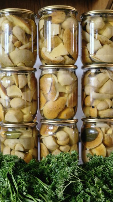 Мариновані білі гриби,білі гриби мариновані купити