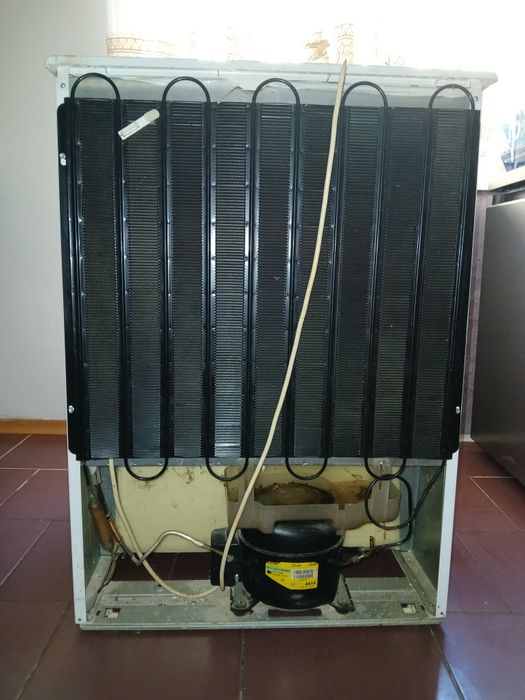 Холодильник барный Indesit