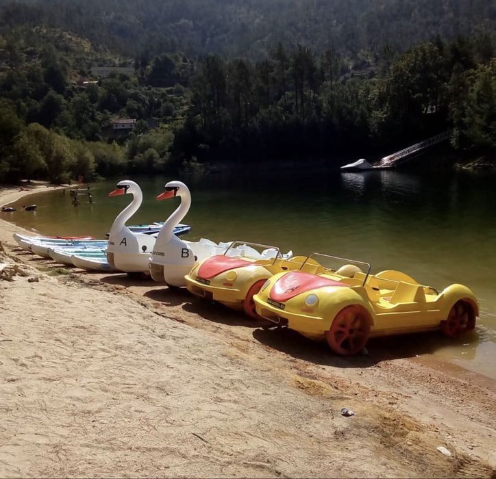 5 Gaivotas ( Cisnes e Carros)