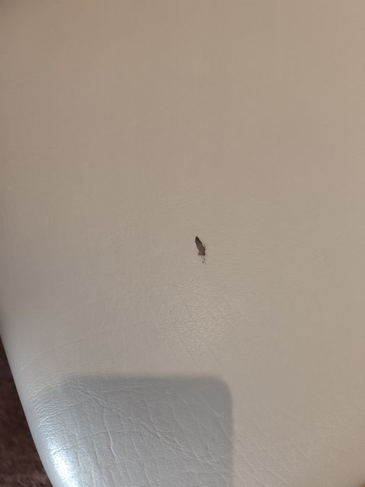 Marquesa para espalhar a cura