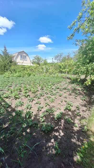 Продам дачу участок Самаровка СТ Агрус