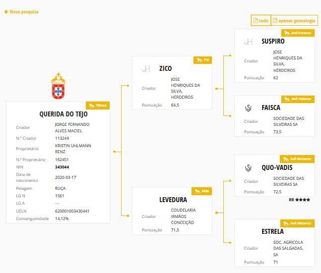 Égua lusitana com muito potencial- 5 anos