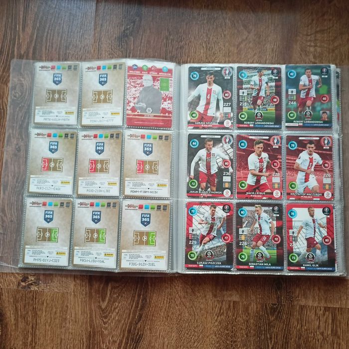 Karty piłkarskie FIFA 365+2 albumy Panini Group