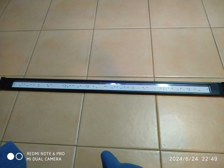 Urgente,calha fluval, aquário,corydoras,ancistru, hypancistrus, guppys