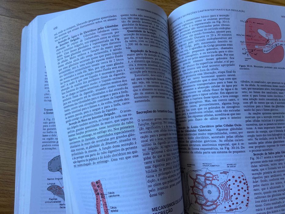 "FISIOLOGIA HUMANA" Guyton (6ª Edição)
