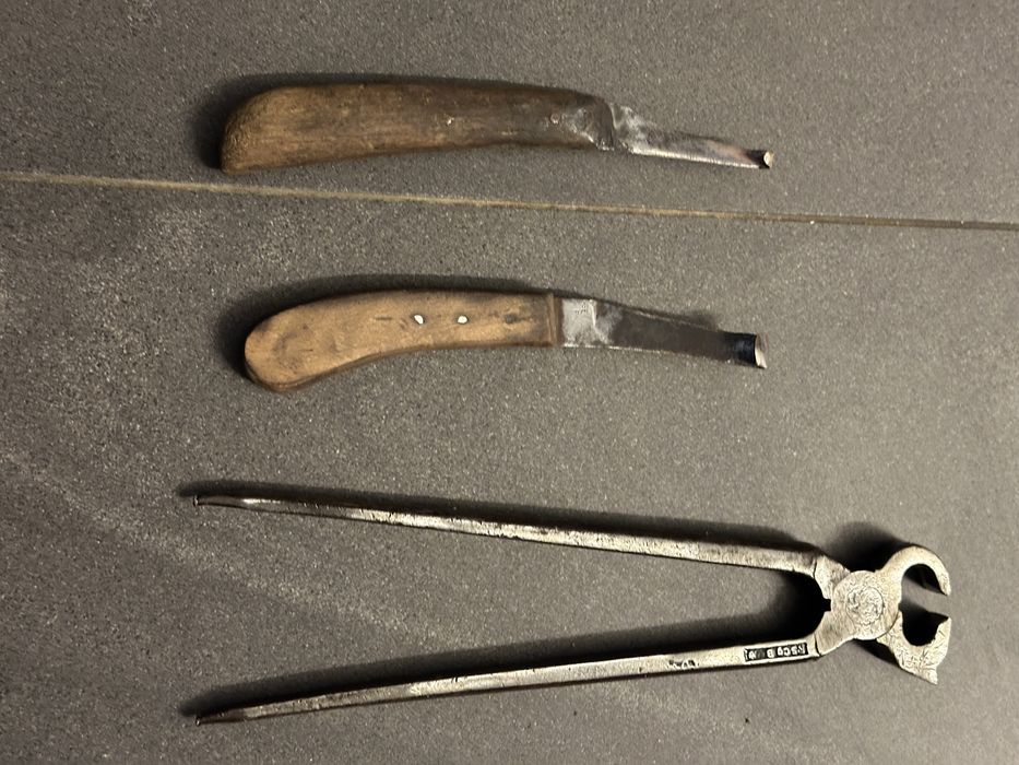 Zestaw do kopyt konskich