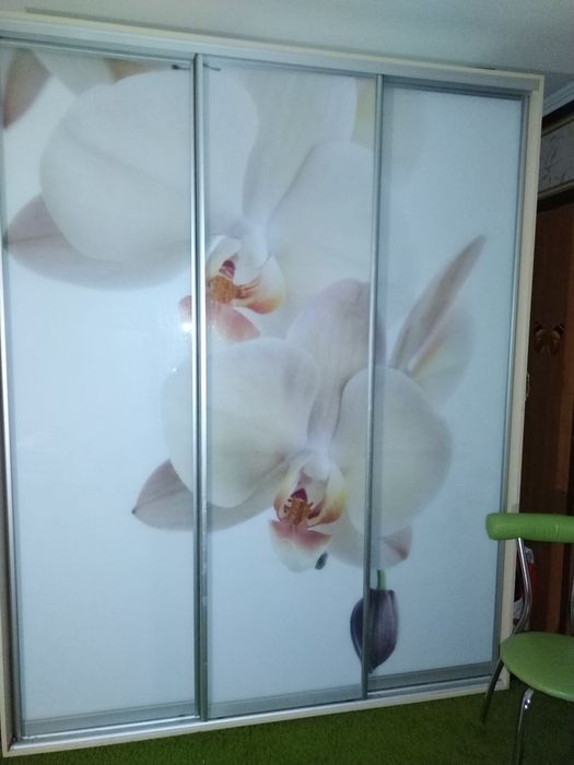 Срочно! Шкаф купе с рисунком