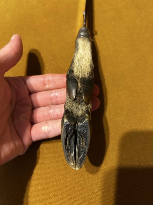 Nóż myśliwski Rostfrei niemiecki kolekcjonerski zabytkowy