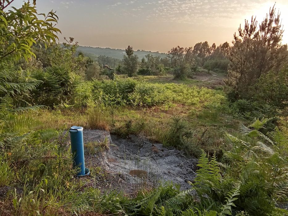 Quinta isolada mas a 2 km de Seia