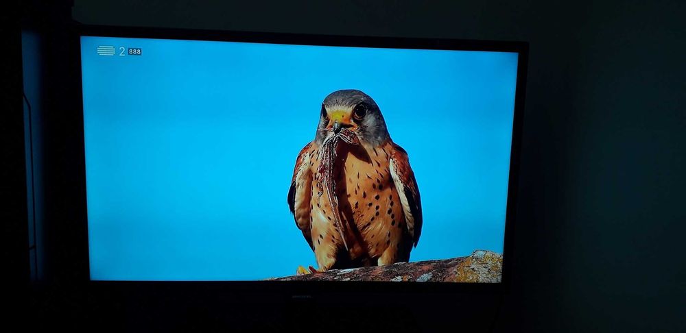 Televisão SAMSUNG 32"