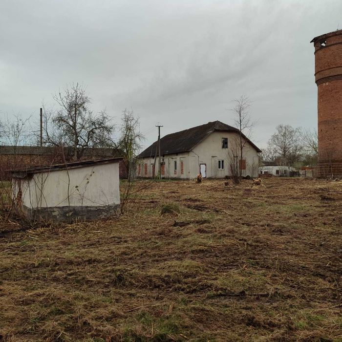 Нежитлова нерухомість